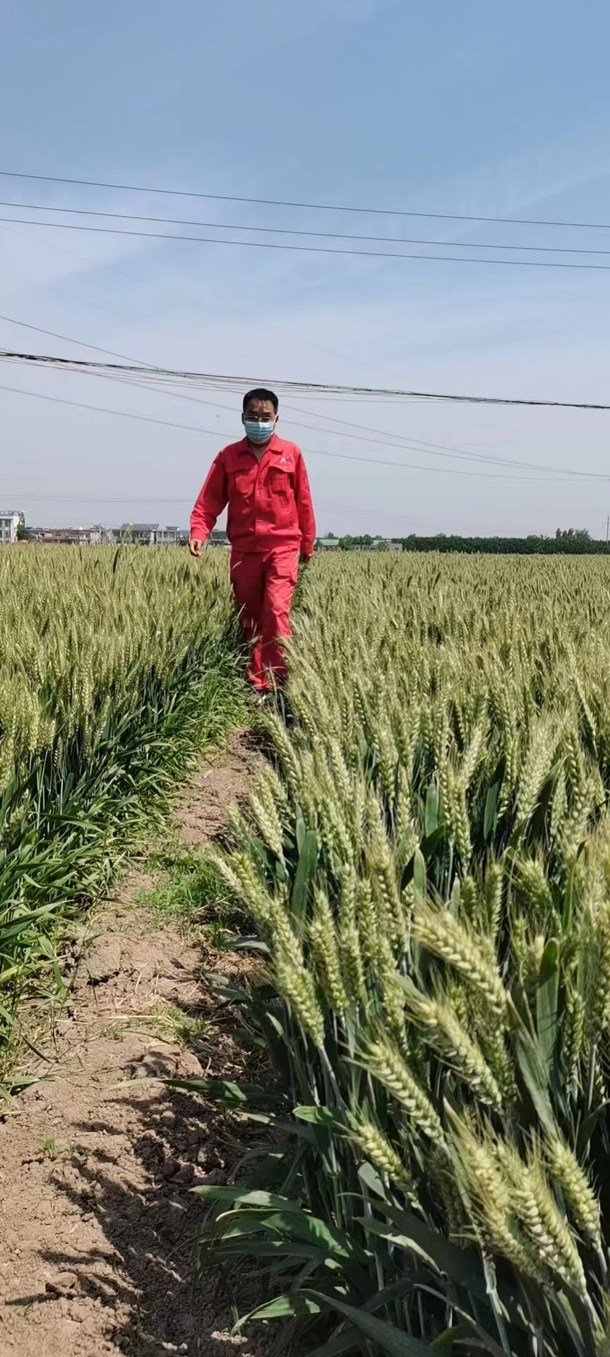 用心守護(hù)管道安全，全力保障豫北能源“生命線(xiàn)”——安彩能源開(kāi)展安全檢查百里行主題黨日活動(dòng)
